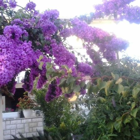 ראב Apartman Branka מראה חיצוני תמונה