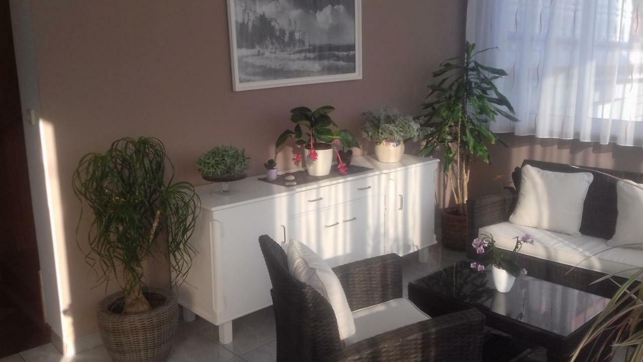 ראב Apartman Branka מראה חיצוני תמונה