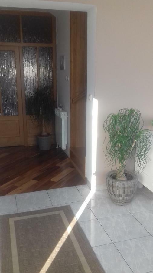 ראב Apartman Branka מראה חיצוני תמונה